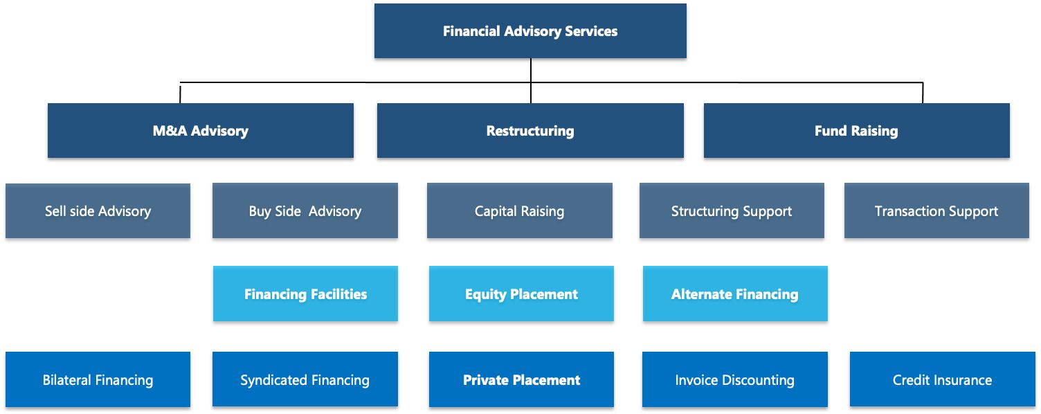 Financial Advisory Services